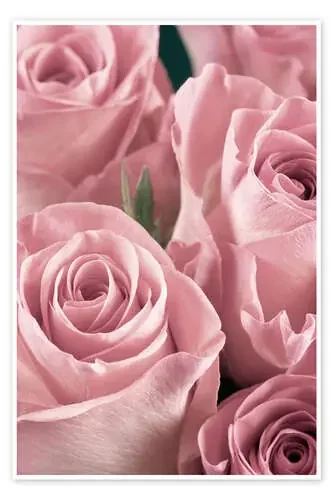 Cesta de rosas en rosa palo Editors Choice