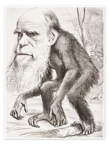 Charles Darwin caricature, Hornet de Ken Welsh Design Pics