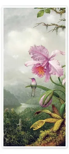 Colibrí en una orquídea de Martin Johnson Heade Bridgeman Images