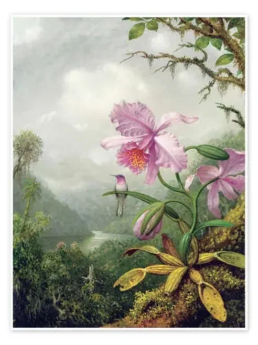 Colibrí en una orquídea de Martin Johnson Heade Bridgeman Images