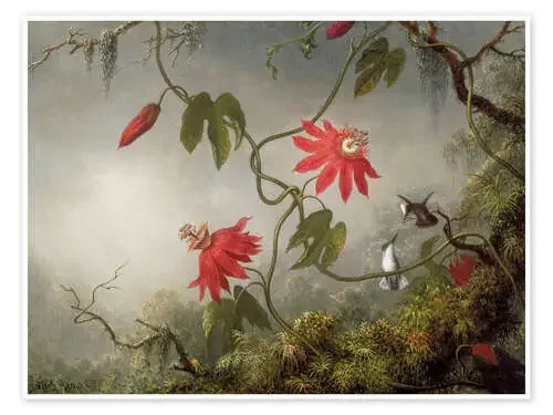 Colibrí en una pasionaria de Martin Johnson Heade Master Collection