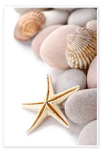 Collage de la playa Editors Choice
