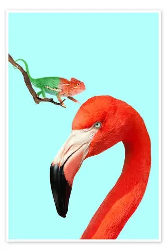 COLORFUL FRIENDS de Jonas Loose