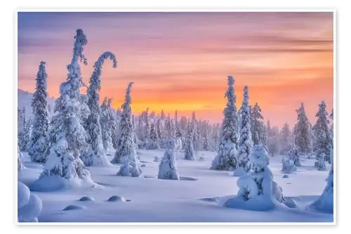 Colours of winter de André Wandrei