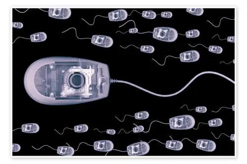 Computer mice, X-ray artwork de Mark Sykes Science Photo Library