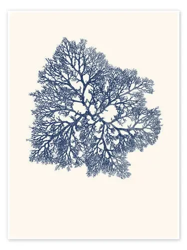 Coral azul de Patruschka