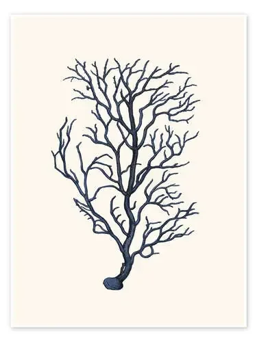 Coral azul marino, ramas de Patruschka