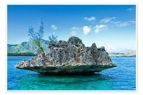 Coral Rock, Mauritius de Stefan Becker