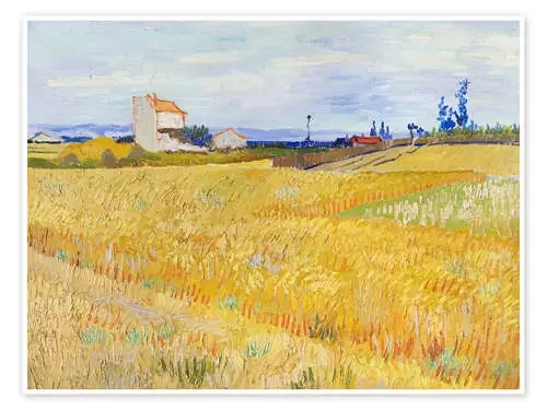 Cornfield de Vincent van Gogh Bridgeman Images