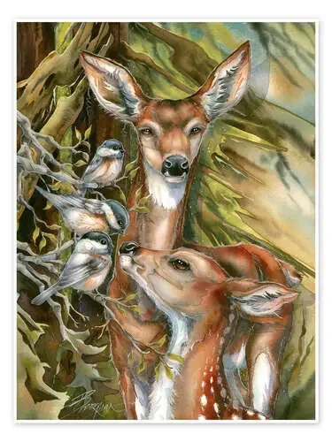 Corzos y aves de Jody Bergsma MGL Licensing