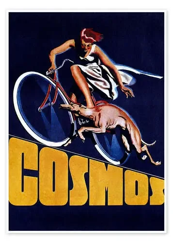 Cosmos bicycles de Vintage Advertising Collection