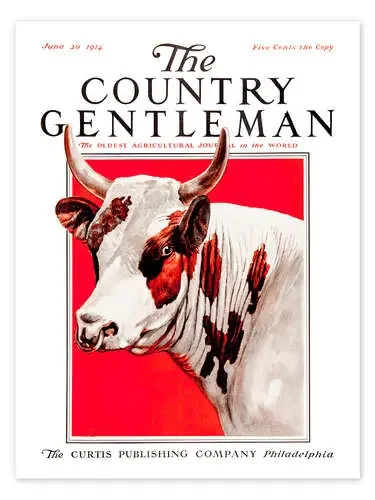 Country Gentleman (Cow) de Remsberg Design Pics