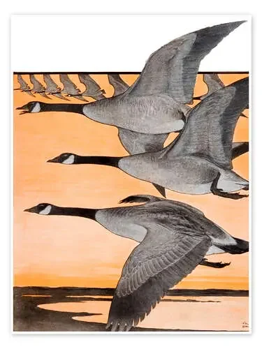 Cover of Country (journey to the south) de Remsberg Design Pics