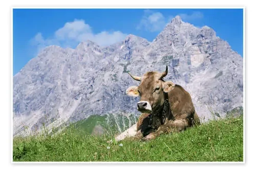 Cow on a mountain meadow de Bjorn Svensson Science Photo Library