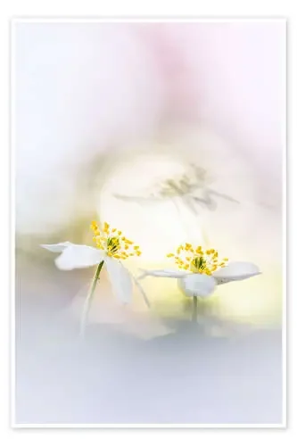Cozy together in the sun de Bob Daalder