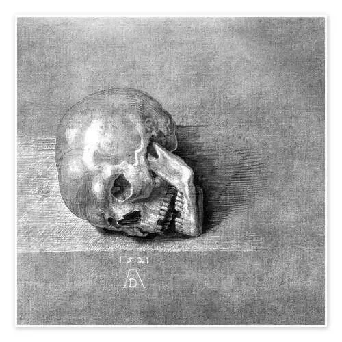Cráneo de Albrecht Dürer Master Collection