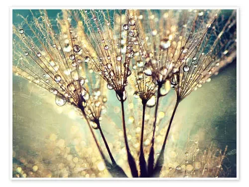 Dandelion abstract de Julia Delgado