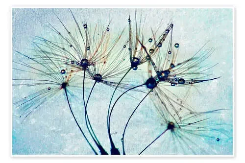 Dandelion Dancing de Julia Delgado