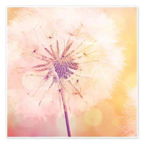 Dandelion de Andrea Haase