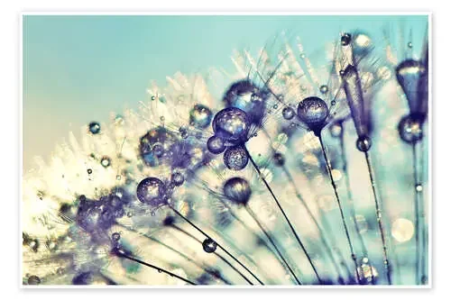 Dandelion Dream de Julia Delgado