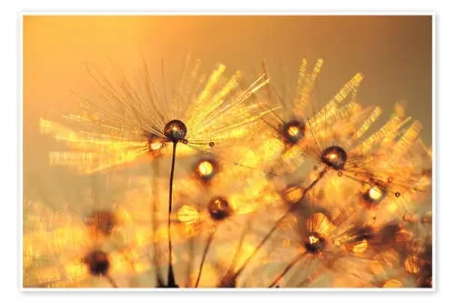 Dandelion golden beads de Julia Delgado