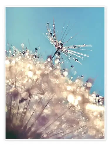 Dandelion The one de Julia Delgado