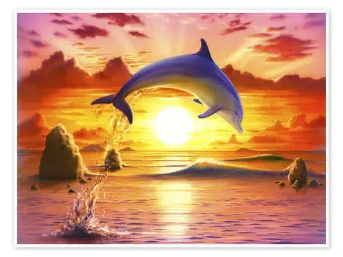Day of the dolphin – sunset de Robin Koni MGL Licensing