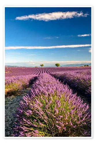 de Achim Thomae