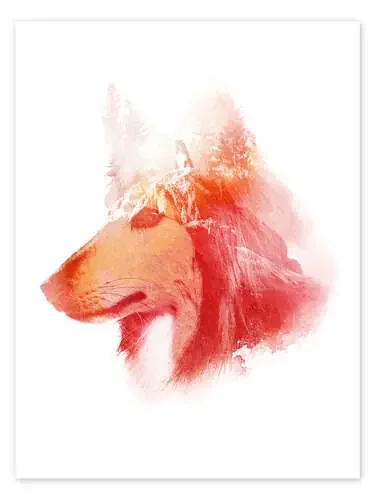 De regreso a casa de Robert Farkas
