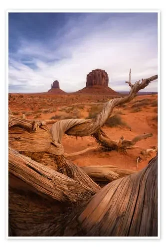 Dead tree at Monument Valley de Martin Podt