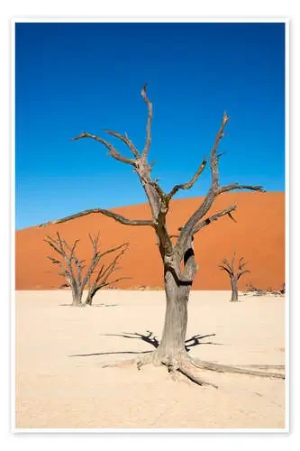 Dead Vlei de Frauke Scholz