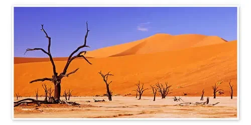 Dead Vlei, Namibia de wiw