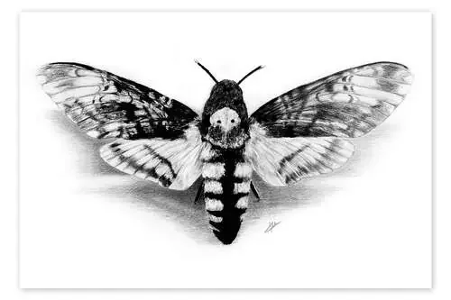 Death Head Hawk Moth de Christian Klute