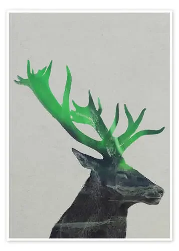 Deer In The Aurora Borealis de Andreas Lie