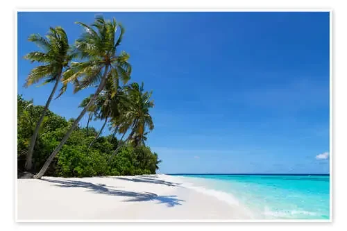 Deserted palm beach, Maldives de Martin Child Robert Harding