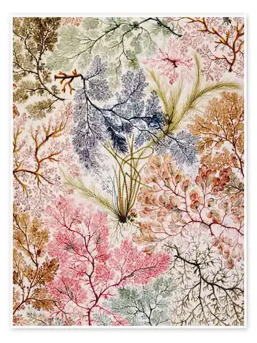 Diseño floral IV de William Kilburn Bridgeman Images