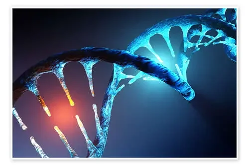 DNA helix structure de Johan Swanepoel