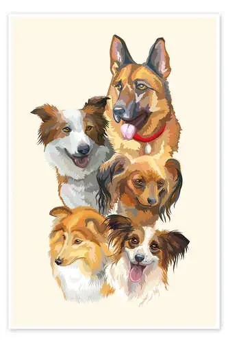 Dog breeds portrait Editors Choice