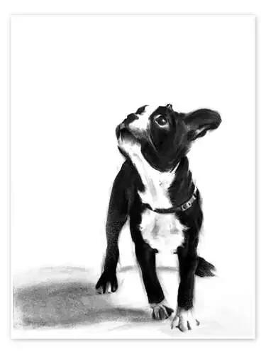 Doggystyle – French Bulldog de Denny Stoekenbroek