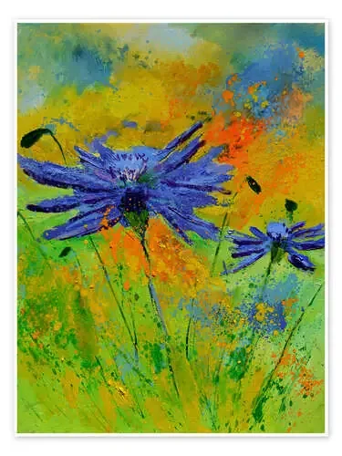 Dos acianos de Pol Ledent