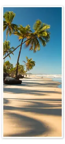 Dream beach with palm trees Editors Choice