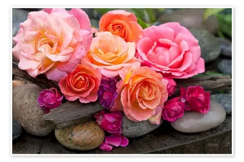 Dreaming of Roses de Andrea Haase Foto