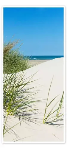 Dune by the sea I Editors Choice