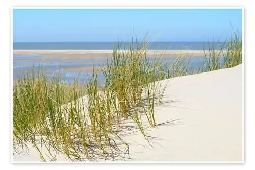 Dune in summer de Susanne Herppich