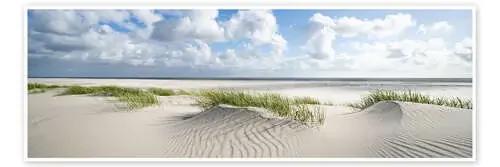 Dunes on the North Sea de Jan Christopher Becke