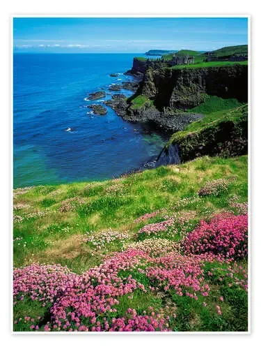 Dunluce Castle, Ireland de The Irish Image Collection Design Pics
