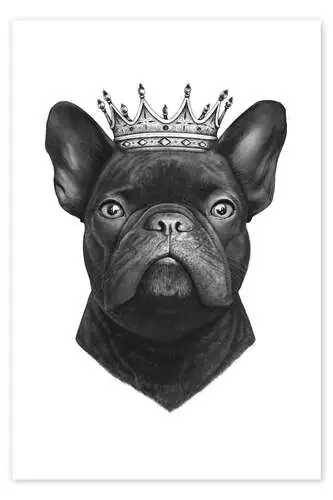El rey bulldog francés de Valeriya Korenkova
