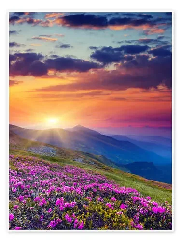 El rododendro floreciendo en los Cárpatos Editors Choice