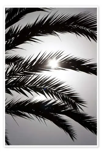 El sol aparece Editors Choice