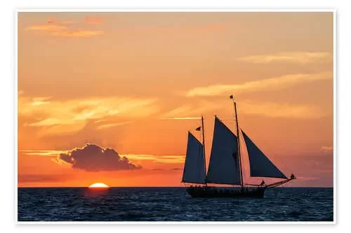 El viaje Editors Choice